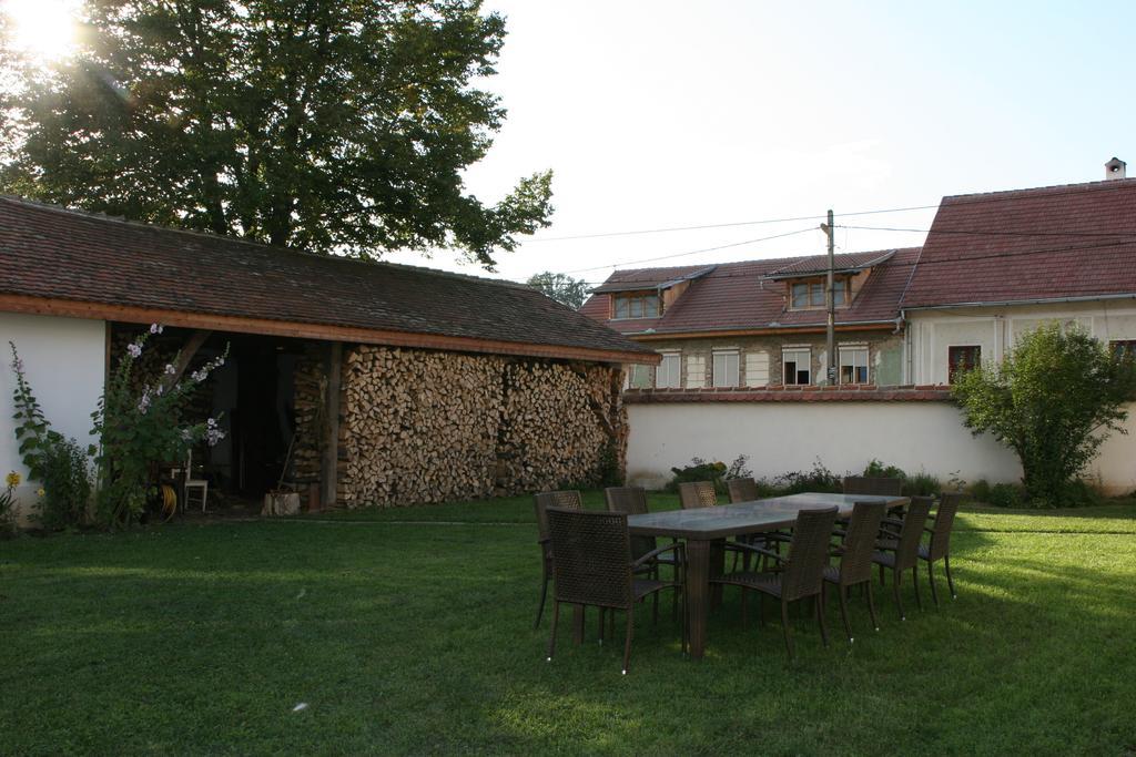 Transylvania Guesthouses Cincsor 외부 사진